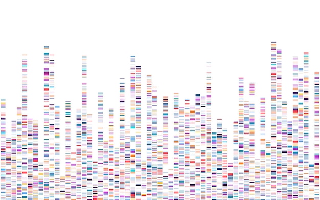 Infografika testu DNA Mapa sekwencji genomu