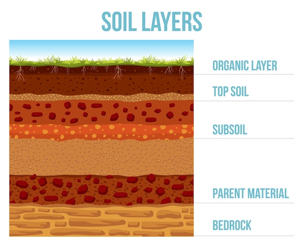 Infografika Warstwy Gleby Formacja Geologii Ziemi