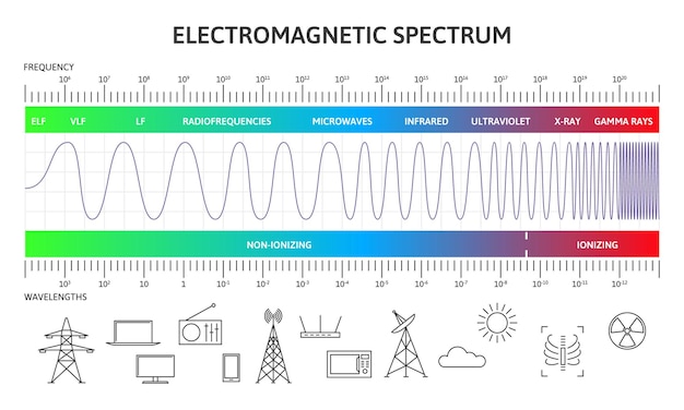 Plik wektorowy infografika widma elektromagnetycznego, diagram długości fal magnetycznych. ilustracja wektorowa fale promieniowania magnetycznego fizyki. schemat widma elektromagnetycznego