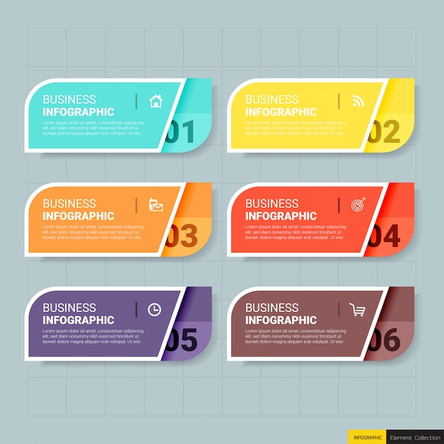 Infografiki Szablon Transparent 6 Opcji