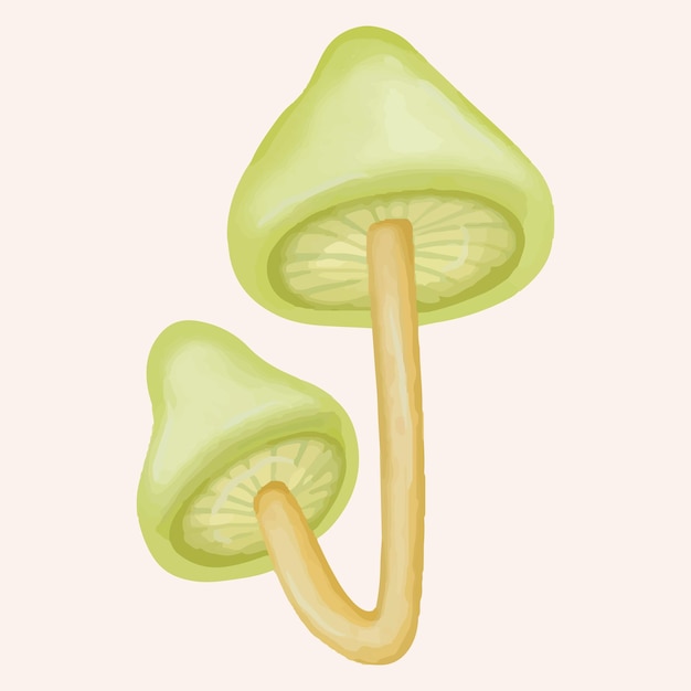 Izolowane grzyby Clipart Roślina jesienna