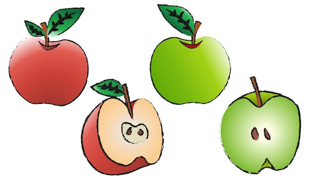 Plik wektorowy jabłko na białym tle wektor zestaw na białym tle, wektor sztuki linii owoców na białym tle