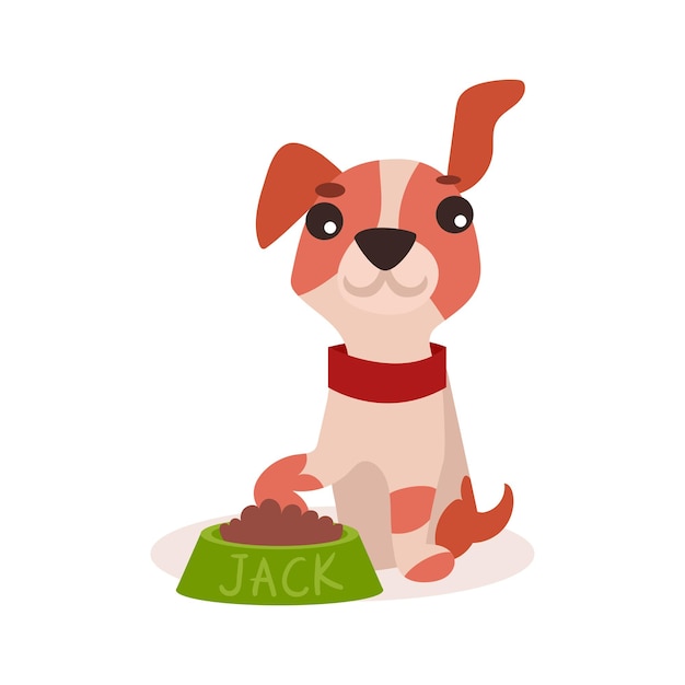 Jack russell terrier charakter jedzenie, ładny zabawny pies wektor ilustracja na białym tle
