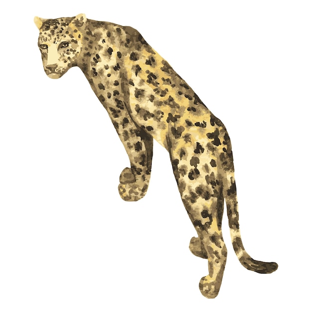 Jaguar Akwarela