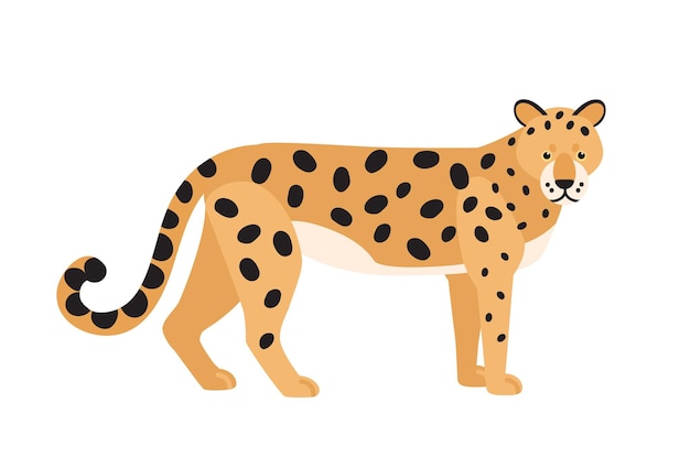 Jaguar Na Białym Tle. Oszałamiające Dzikie Egzotyczne Mięsożerne Zwierzę. Pełen Wdzięku Duży Amerykański żbik Lub Uroczy Kotek O Cętkowanej Sierści. Ilustracja Wektorowa Kolorowe W Stylu Cartoon Płaskie.