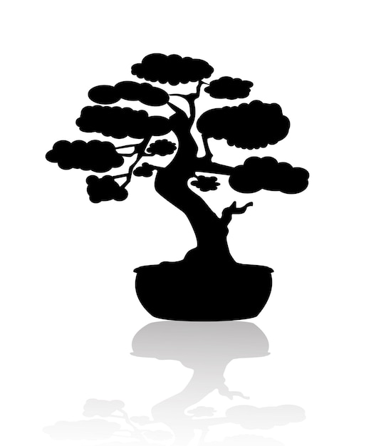 Japońskie Drzewo Bonsai.