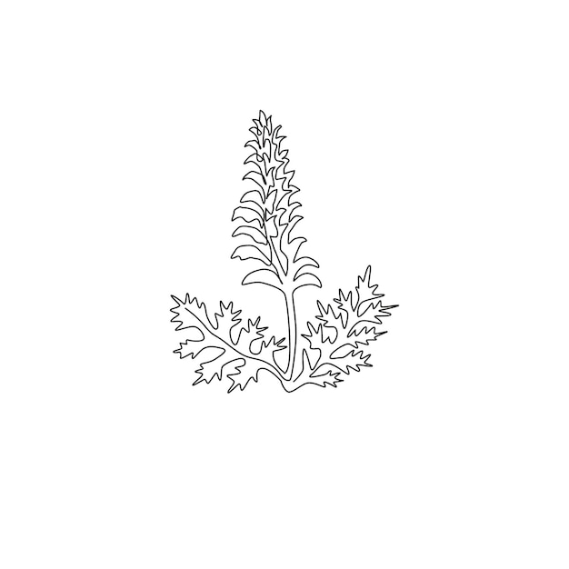 Plik wektorowy jeden ciągły rysunek linii piękności niedźwiedź spodnie dla ogrodu logo kwiat acanthus dla kwiatów