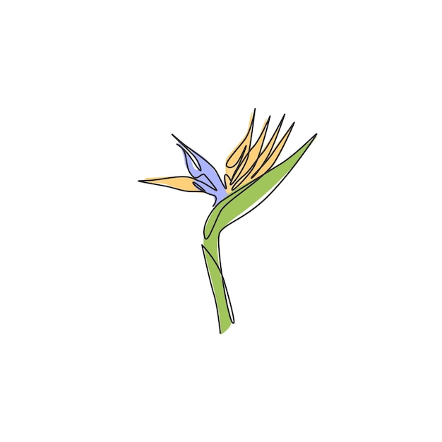 Plik wektorowy jedno ciągłe rysowanie linii strelitzia dekoracja ścienna sztuka ptak rajski kwiat wektor projektowania