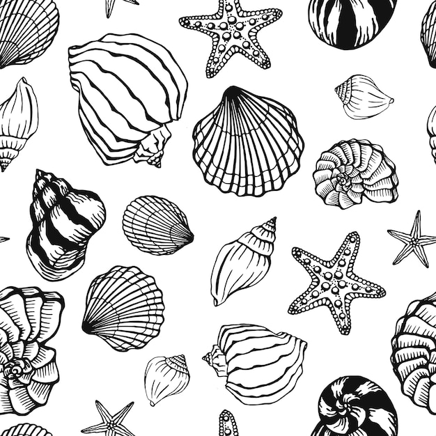 Jednolite czarnobiały wzór z muszli korale i rozgwiazdy Tło morskie Ręcznie rysowane ilustracji wektorowych w stylu szkicu
