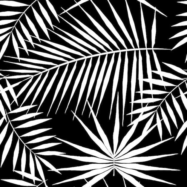 Plik wektorowy jednolity wzór egzotycznych palm białe liście na czarnym tle tropikalna dżungla