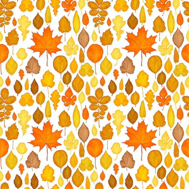 Jednolity wzór jesiennych liści wektor