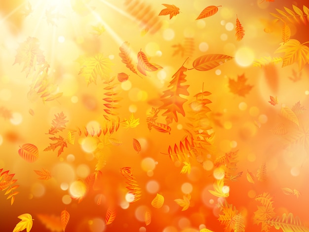 Plik wektorowy jesieni tło z naturalnymi liśćmi i jaskrawym światłem słonecznym.