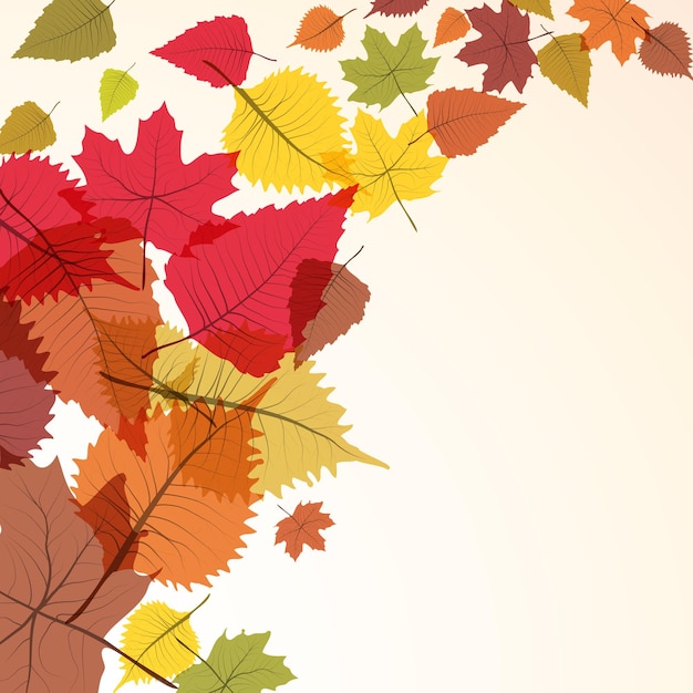 Plik wektorowy jesienią liście spadają z drzewa tło wektora liści