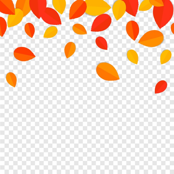 Wektor jesienne liście grafiki wektorowej