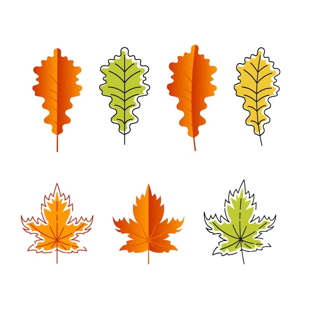 Plik wektorowy jesienny element wektor ikona ilustracja projektu