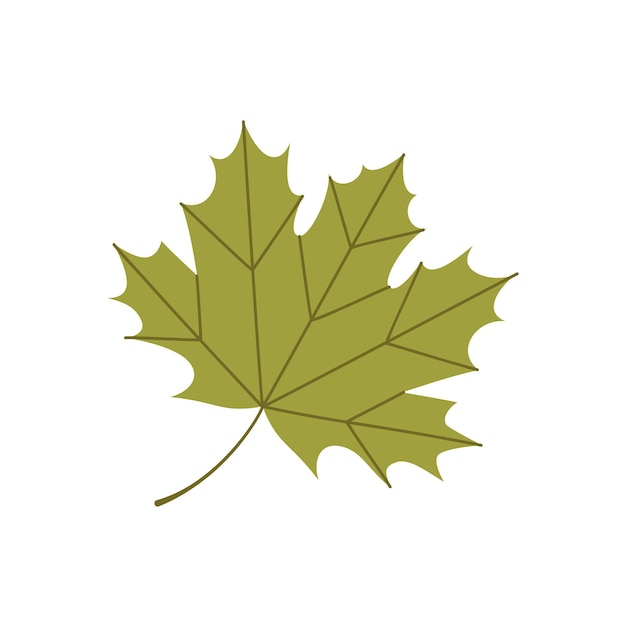 Plik wektorowy jesienny liść klonu. ilustracja wektorowa płaski.
