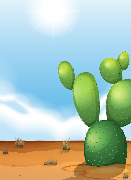 Kaktus Na Pustyni