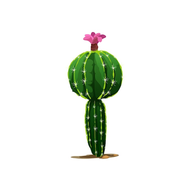 Plik wektorowy kaktus z różowym kwiatem na białym tle kłującej rośliny