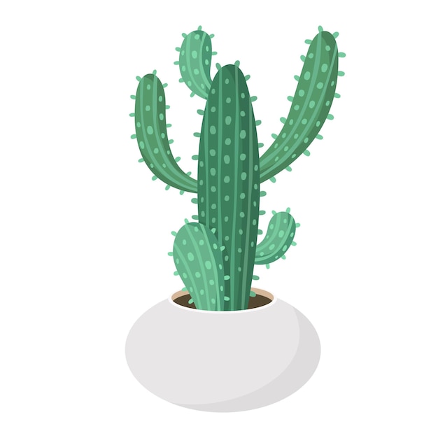 Kaktusy I Sukulenty W Garnku Domowe Kolorowe Ilustracje Wektorowe Z Kreskówek Dekoracyjne Rośliny Kwiatów Izolowane Kaktusy Ikony