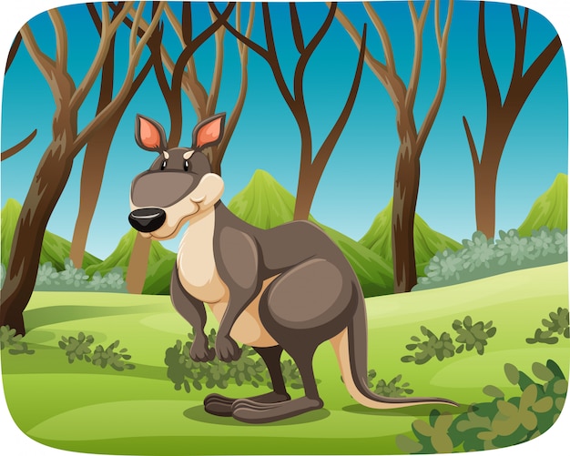 Plik wektorowy kangur w tle przyrody