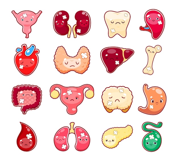 Plik wektorowy karikaturowe postacie chorych narządów ciała ranny i niezdrowy pęcherz nerki zęby serce i tarczyca wątroba kość jelita i macica żołądek kropla krwi płuca izolowane narządy wektorowe postacie