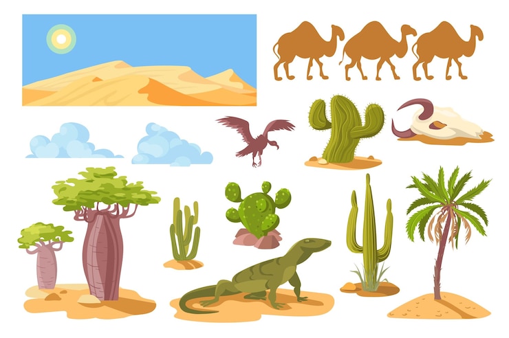 Wektor karikatury pustynne kaktusy i skały rośliny i zwierzęta suchy gorący klimat elementy wydmy piaskowe savannah baobaby i palmy wielbłądy i jaszczurki varan sahara panorama wspaniały zestaw wektorowy