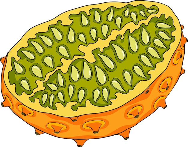 Plik wektorowy kiwano col5