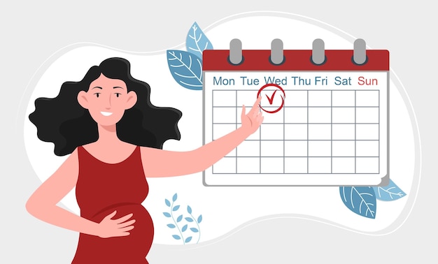 Plik wektorowy kobieta w ciąży z kalendarzem