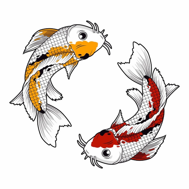 Plik wektorowy koi ryb cector ilustracji wektorowych projekt