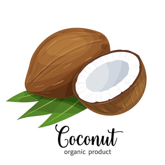 Plik wektorowy kokos w stylu cartoon