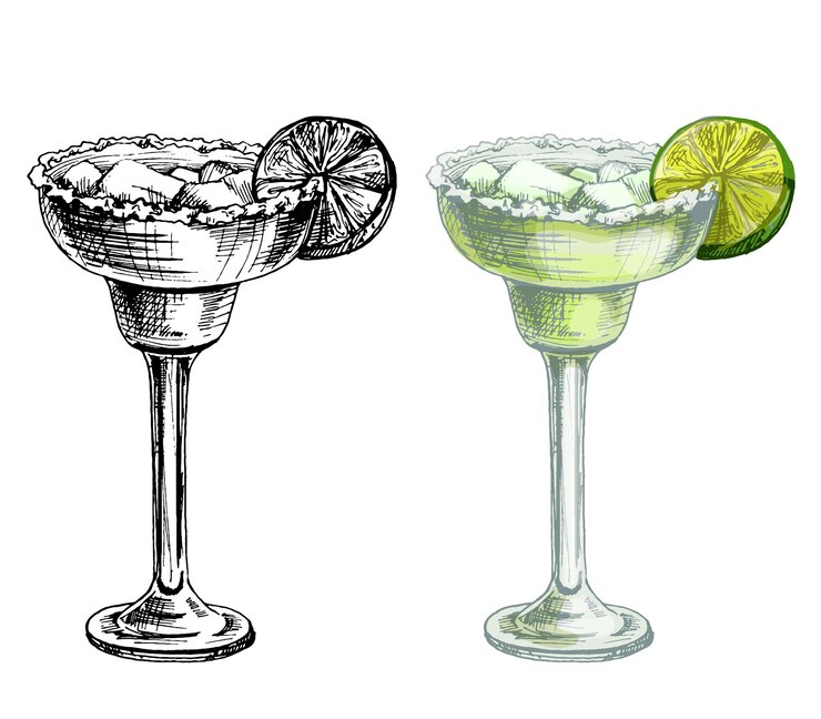 Wektor koktajl margarita z plasterkiem kostki lodu z limonki i soli vintage wylęgowych wektor ilustracja kolor izolowany na białym tle