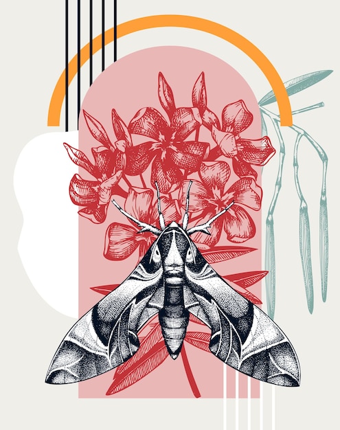 Kolaż W Stylu Oleander Hawk Ilustracji Wektorowych ćmy Handsketched Motyl Na Oleander