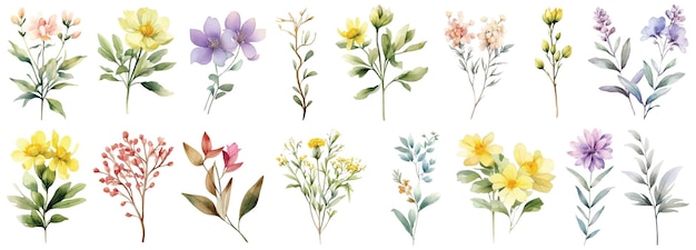 Kolekcja Akwareli Wildflower Ręcznie Rysowane Elementy Projektu Kwiatu Izolowane Na Białym Tle