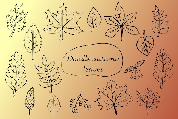 Kolekcja doodle jesiennych liści