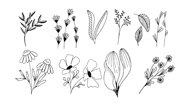 Kolekcja Elementów Kwiatowych W Stylu Doodle Ręcznie Rysowane Dekoracyjne Liście I Kwiaty