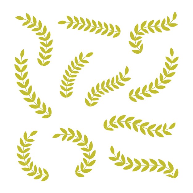 Kolekcja elementów wektorowych Laurel Leaf dla projektowania