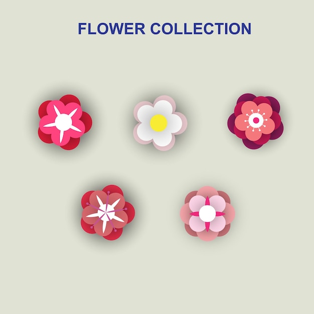 KOLEKCJA FLOWER VECTOR PACK V1