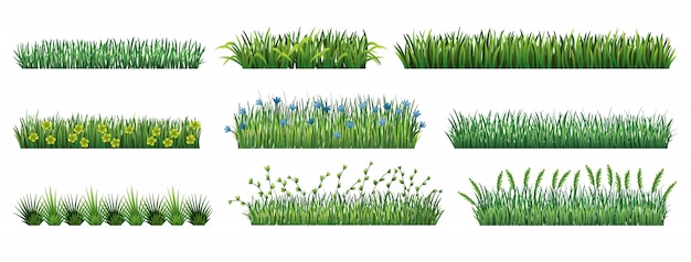 Plik wektorowy kolekcja granice zielonej trawy. świeża zielona trawa na białym tle. ilustracja wektorowa do wykorzystania jako element projektu