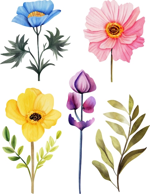 Plik wektorowy kolekcja ilustracji kwiatowych akwareli