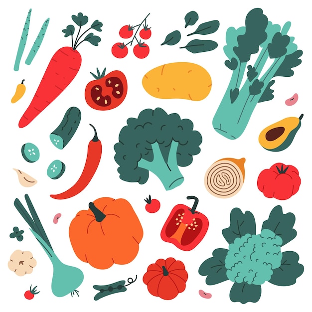 Kolekcja ilustracji warzyw