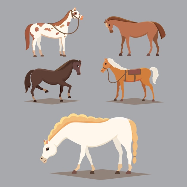 Plik wektorowy kolekcja izolowanych koni. zwierzęta hodowlane koni kreskówka. różne pieczywo