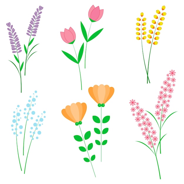 Kolekcja Kolorowych Elementów Kwiatowych W Stylu Płaskizestaw Wiosennych I Letnich Polnych Kwiatów