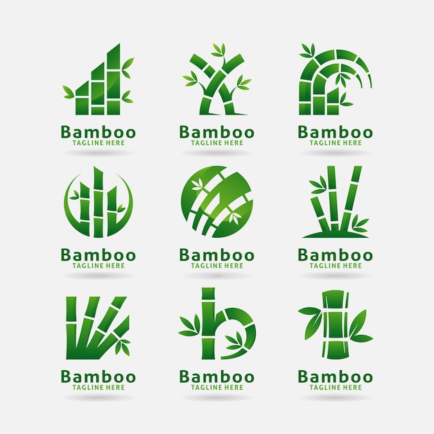 Kolekcja Logo Bambusa