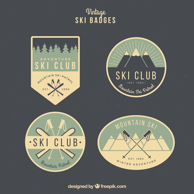 Plik wektorowy kolekcja odznak narciarskich