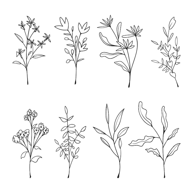 Plik wektorowy kolekcja ręcznie rysowane kwiatowy gryzmoły na białym tle