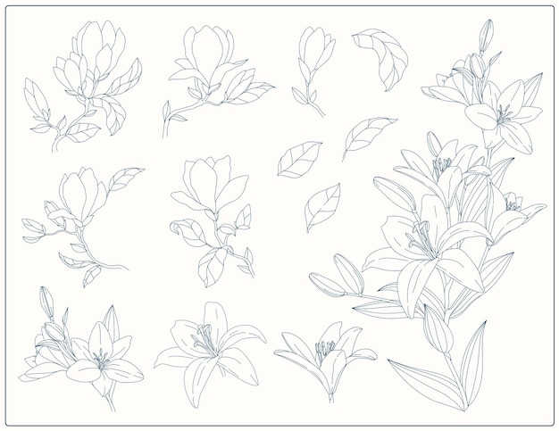 Kolekcja ręcznie rysowane kwiaty