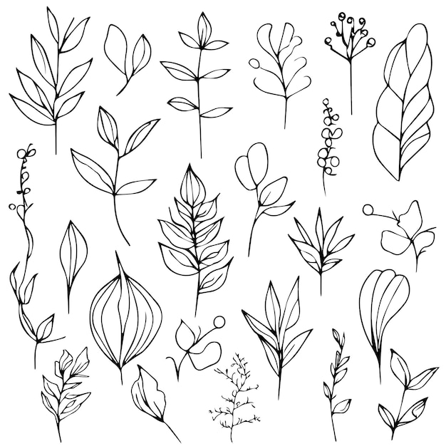 Kolekcja ręcznie rysowanych roślin elementy botaniczne ilustracje kwiatów botanicznych rysunki liści
