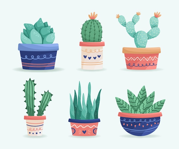 Plik wektorowy kolekcja sukulentów i kaktusów