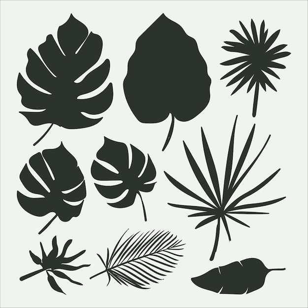 Kolekcja tropikalnych liści z styl sylwetka