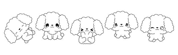 Kolekcja Wektor Kreskówka Pudel Pies Kolorowanki Zestaw Kawaii Na Białym Tle Pies Zarys Dla